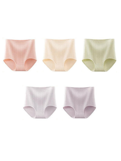 5 Pieces Summer Women High Waist Jacquard Underwear