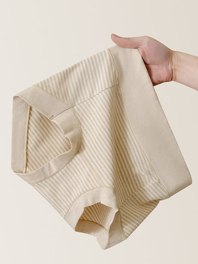 6 Pieces Women Casual Stripe High Waist Cotton Underwear