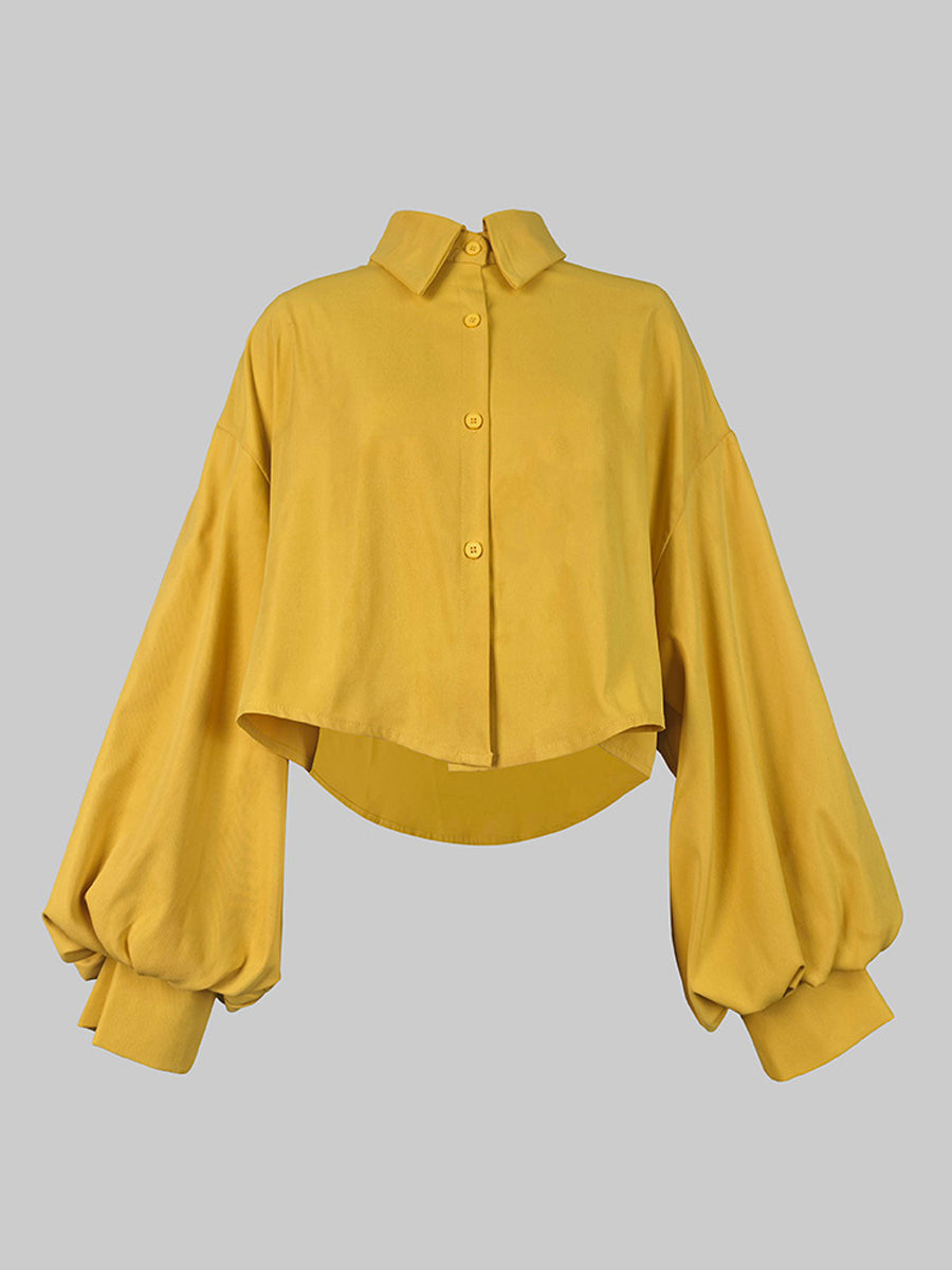 Long Sleeves Loose Buttoned Pleated Pockets Solid Color Lapel Two Pieces Set