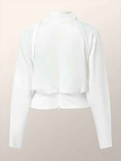 Long Sleeves Solid Color Zipper V-neck Blouses&shirts Tops