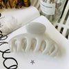 Women's Simple Style Color Block Acetic acid sheets Polishing Hair Claws