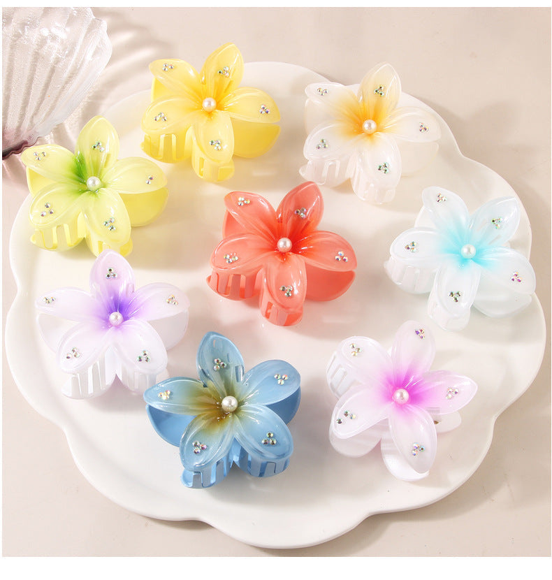 Women's Simple Style Classic Style Flower Plastic Resin Stoving Varnish Hair Claws