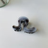 Women's Simple Style Color Block Plastic Resin Polishing Hair Claws
