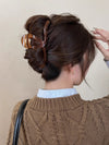 Women's Elegant Solid Color Plastic Stoving Varnish Hair Claws