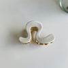 Women's Simple Style Color Block Plastic Resin Polishing Hair Claws