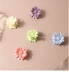 Women's Sweet Simple Style Flower Plastic Stoving Varnish Hair Claws