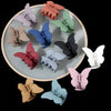 fashion butterfly plastic stoving varnish hair claws 1 piece