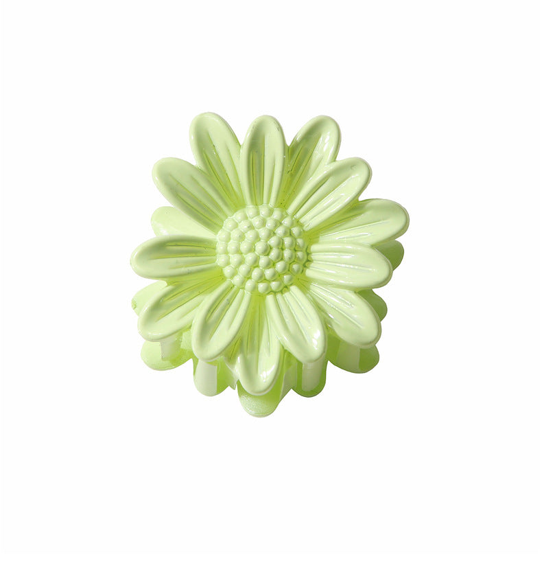 Women's Sweet Simple Style Flower Plastic Stoving Varnish Hair Claws