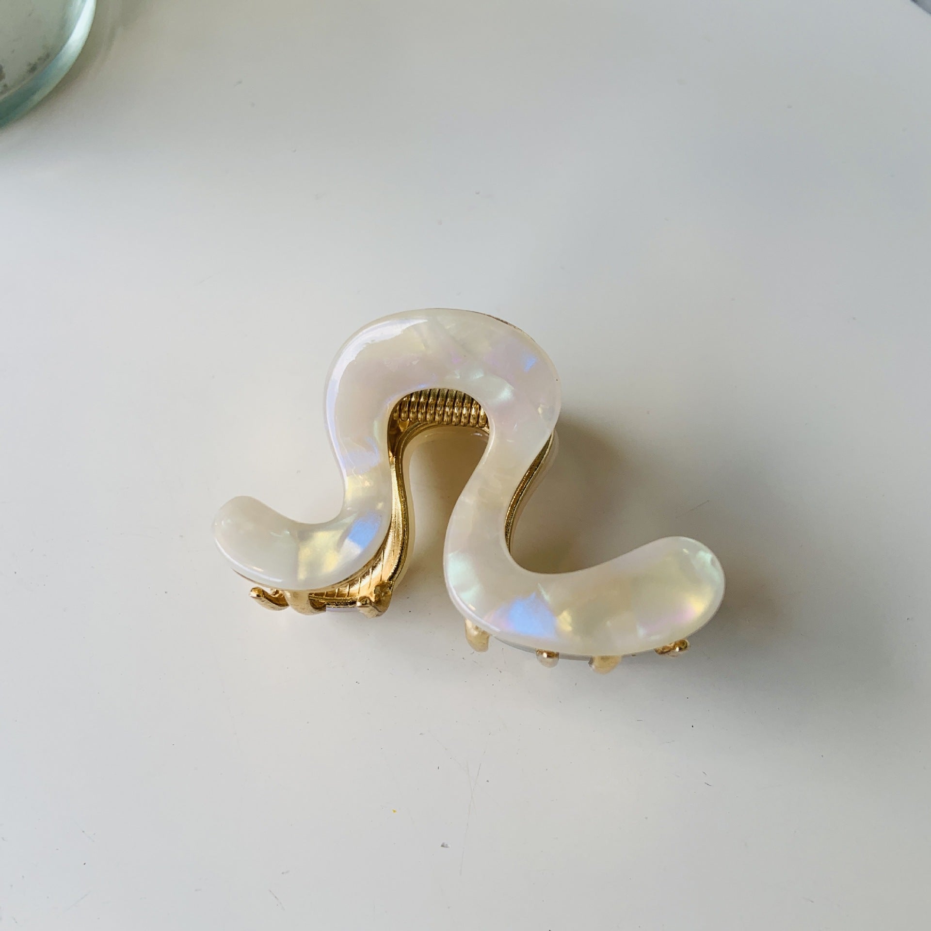 Women's Simple Style Color Block Plastic Resin Polishing Hair Claws