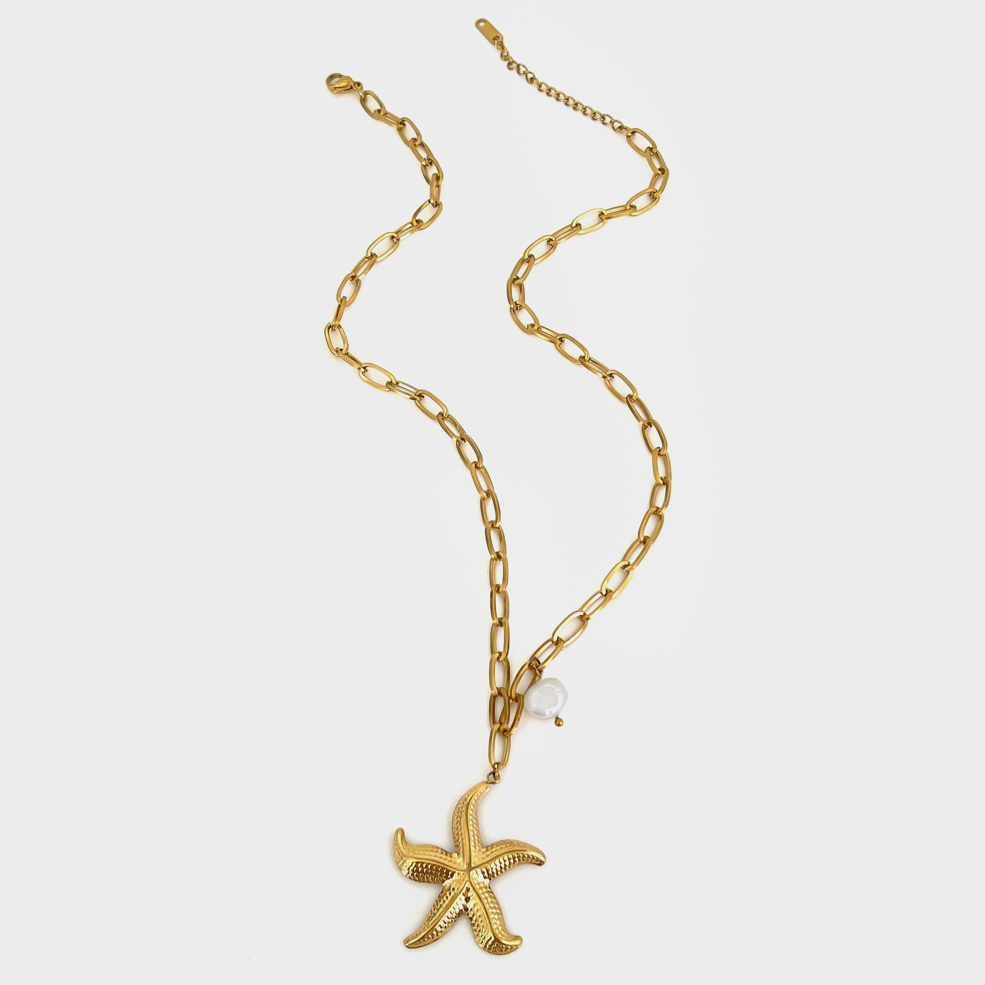 Jewelry Marine Style Classic Style Starfish 316L Stainless Steel  Plating Pendant Necklace