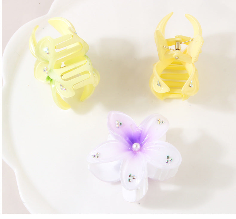 Women's Simple Style Classic Style Flower Plastic Resin Stoving Varnish Hair Claws
