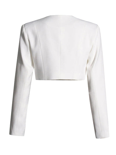 Long Sleeves Buttoned Solid Color Split-Joint Round-Neck Blazers Top + Zipper Wide Leg Mesh Pleated Pants Bottom Two Pieces Set