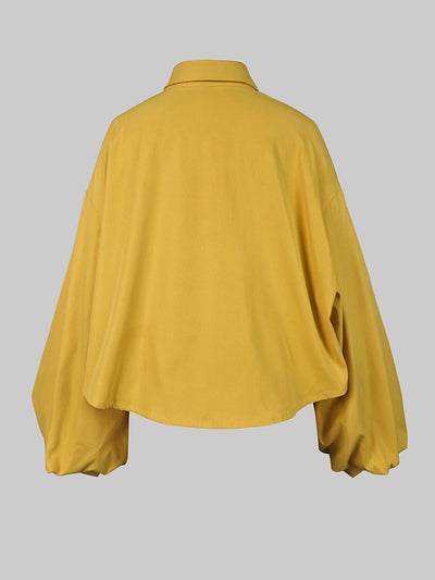 Long Sleeves Loose Buttoned Pleated Pockets Solid Color Lapel Two Pieces Set