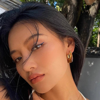 Autumn and Winter  pull style U-shaped geometric resin earrings Women's Light luxury high-end design earrings fashion earrings