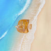 Conch Shell Hairpin Holiday Style Cute Small Hair Grab Japanese and Korean Small Exquisite Acrylic Side Clip Marine Hair Accessories