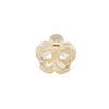 Women's Simple Style Classic Style Flower Plastic Resin Stoving Varnish Hair Claws