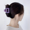 Women's Retro Color Block Acetic acid sheets Hair Claws