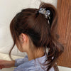 Women's Simple Style Floral Acetic acid sheets Polishing Hair Claws