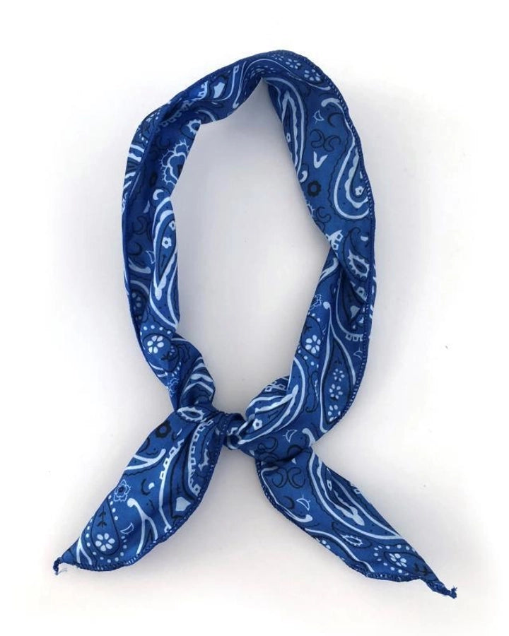Women's Casual Simple Style Paisley Cloth Hair Band