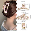 Women's Simple Style Commute Color Block Resin Painted Handmade Hollow Out Hair Claws