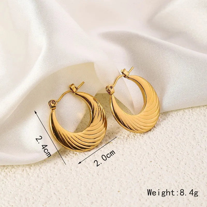 1 Pair Simple Style Commute Geometric Heart Shape Plating Titanium Steel Drop Earrings Earrings Ear Studs