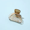 Gradient Small Grab Clip Small Disc Hairpin Environmentally Friendly Acetic Acid Shark Clip Transparent Oval Hair Grab Children's Clip