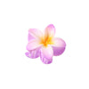 colorful egg flower hairpin flower gripper retro women's side gripper half gripper back head shark clip