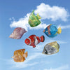 Conch Shell Hairpin Holiday Style Cute Small Hair Grab Japanese and Korean Small Exquisite Acrylic Side Clip Marine Hair Accessories