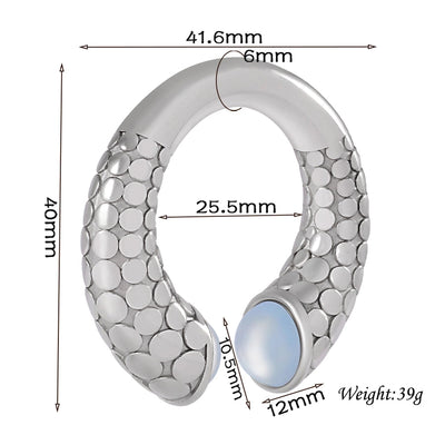 1 Piece Casual C Shape Animal Circle 304 Stainless Steel 18K Gold Plated Stainless Steel Earrings