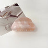 Women's Simple Style Classic Style Color Block Arylic Hair Claws
