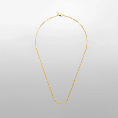 Jewelry Hip-Hop Simple Style Solid Color 304 Stainless Steel 18K Gold Plated White Gold Plated Necklace
