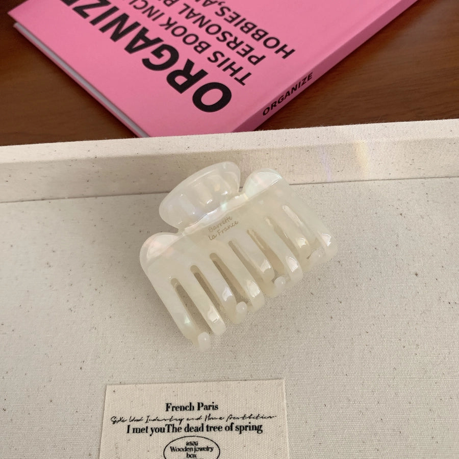 Women's Simple Style Classic Style Irregular Acetic acid sheets Hair Claws