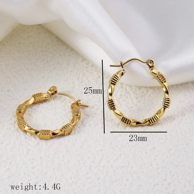 1 Pair Simple Style Commute Geometric Heart Shape Plating Titanium Steel Drop Earrings Earrings Ear Studs