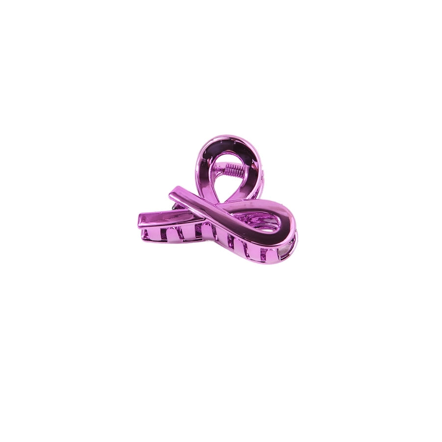 Women's Simple Style Classic Style Solid Color Alloy Stoving Varnish Hair Claws