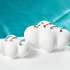 1 Piece Lip Rings Casual Hawaiian Tropical Geometric 304 Stainless Steel Inlay Zircon Ear Cartilage Rings & Studs