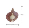 Women's Simple Style Vegetable Acetic acid sheets Hair Claws