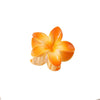 colorful egg flower hairpin flower gripper retro women's side gripper half gripper back head shark clip