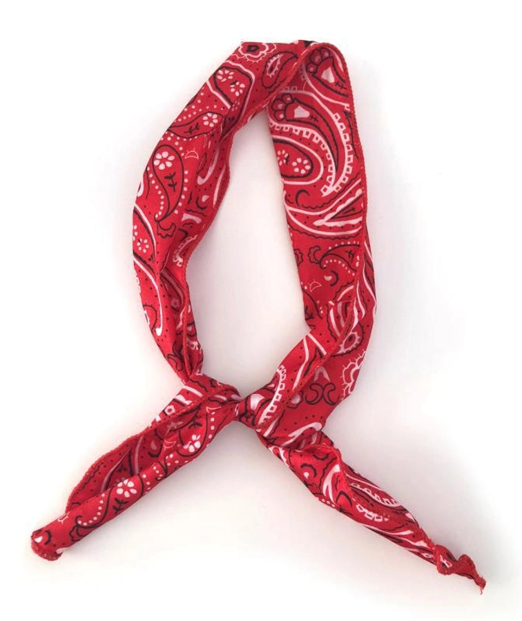 Women's Casual Simple Style Paisley Cloth Hair Band