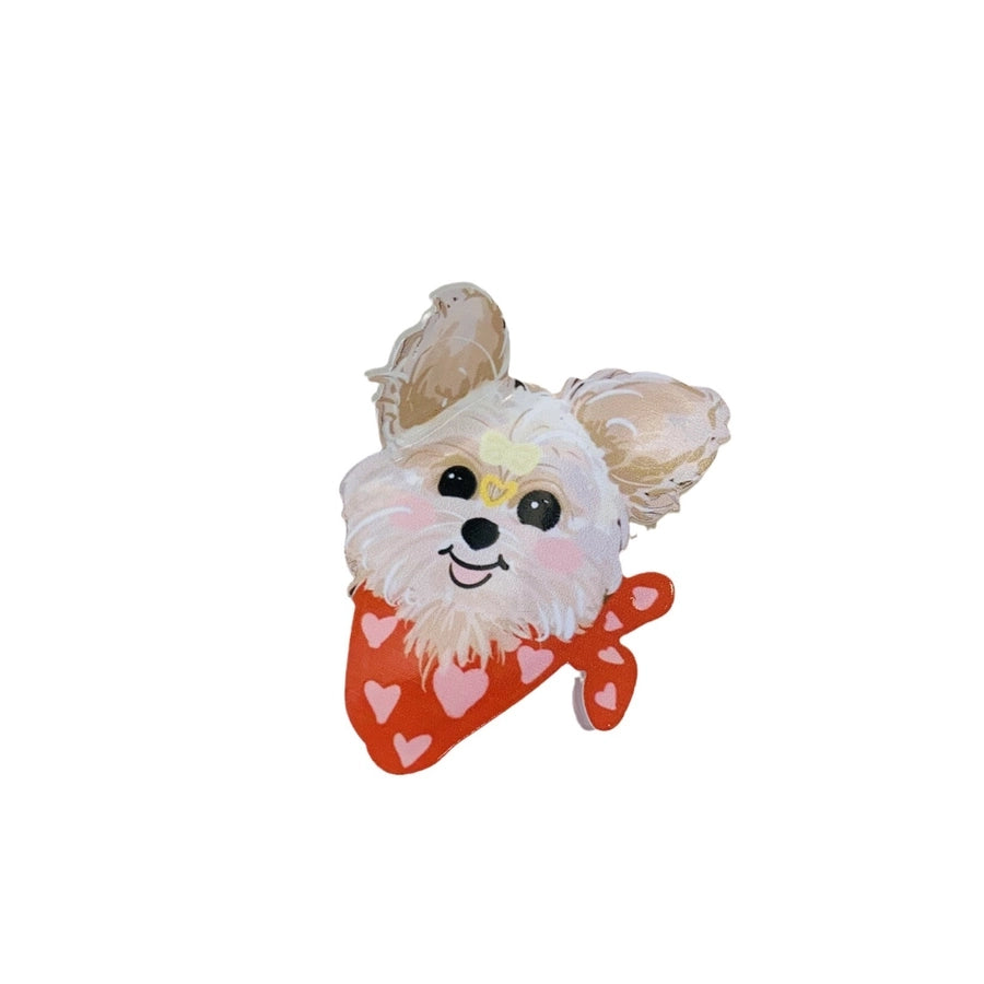 Women's Cute Color Block Arylic Polishing Hair Claws