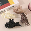 Women's Simple Style Classic Style Flower Plastic Resin Stoving Varnish Hair Claws