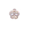 Women's Simple Style Classic Style Flower Plastic Resin Stoving Varnish Hair Claws