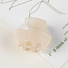 Women's Simple Style Marble Plastic Hair Claws