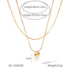 Jewelry IG Style Classic Style Round 304 Stainless Steel Titanium Steel 18K Gold Plated Double Layer Necklaces