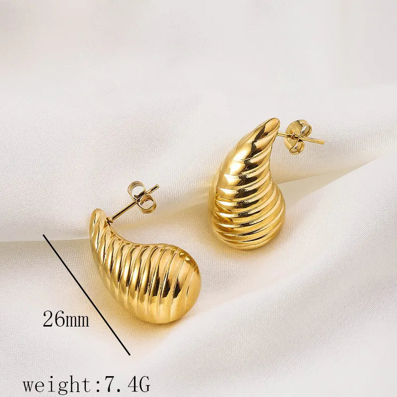 1 Pair Simple Style Commute Geometric Heart Shape Plating Titanium Steel Drop Earrings Earrings Ear Studs