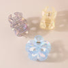 Women's Simple Style Classic Style Flower Plastic Resin Stoving Varnish Hair Claws