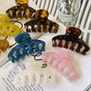 Women's Simple Style Color Block Acetic acid sheets Polishing Hair Claws