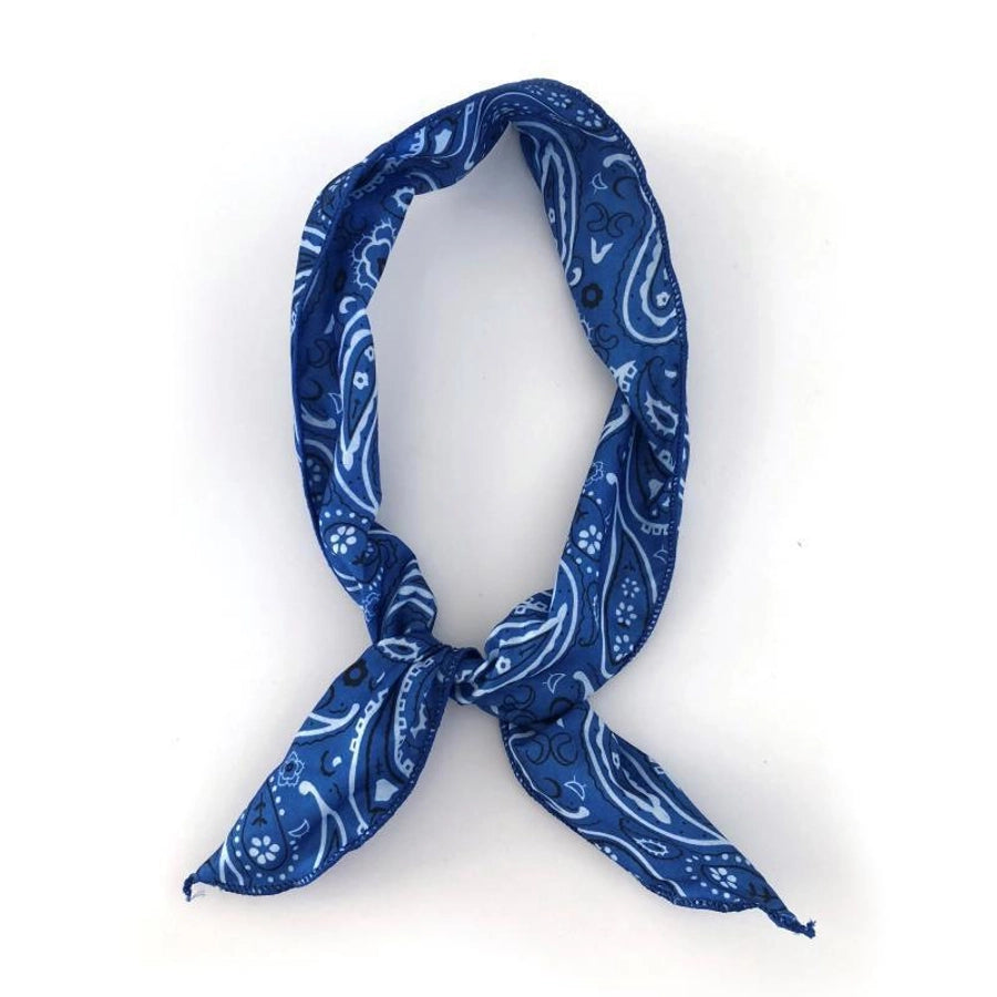 Women's Casual Simple Style Paisley Cloth Hair Band