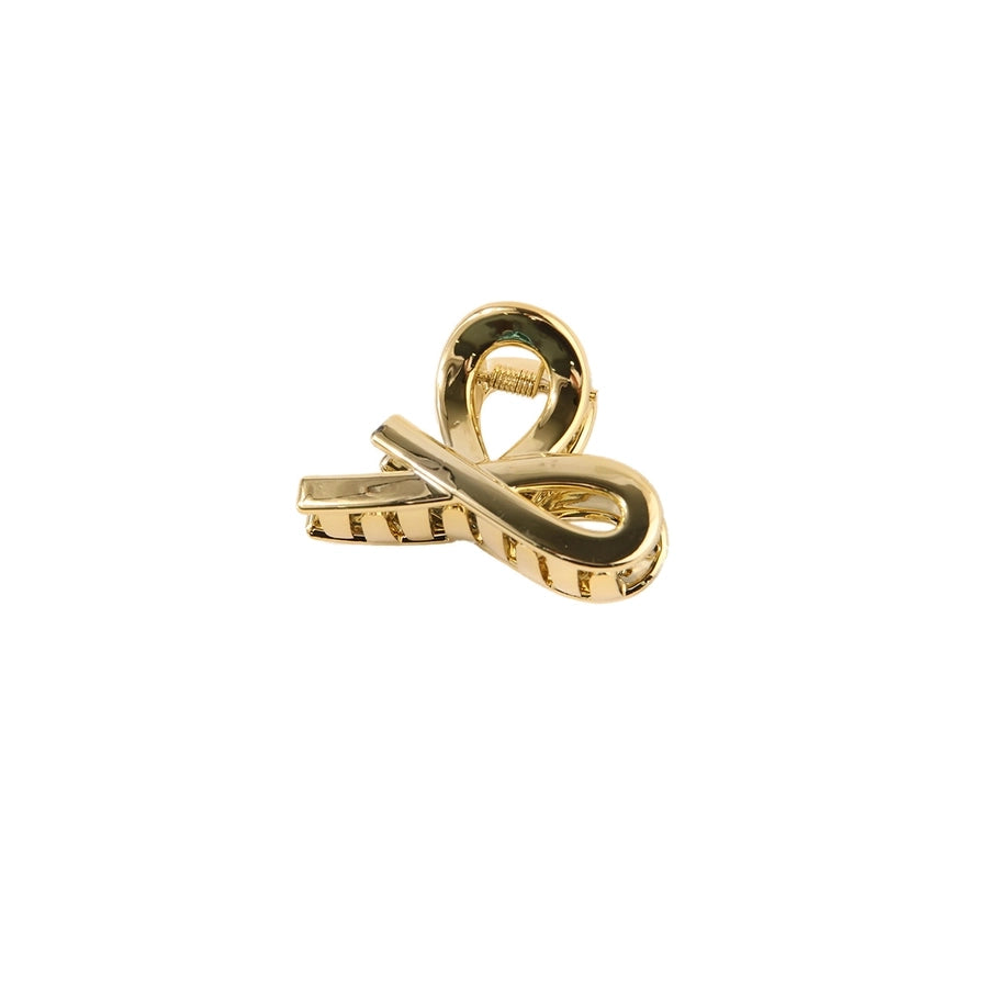 Women's Simple Style Classic Style Solid Color Alloy Stoving Varnish Hair Claws