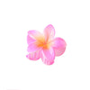 colorful egg flower hairpin flower gripper retro women's side gripper half gripper back head shark clip