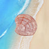 Conch Shell Hairpin Holiday Style Cute Small Hair Grab Japanese and Korean Small Exquisite Acrylic Side Clip Marine Hair Accessories